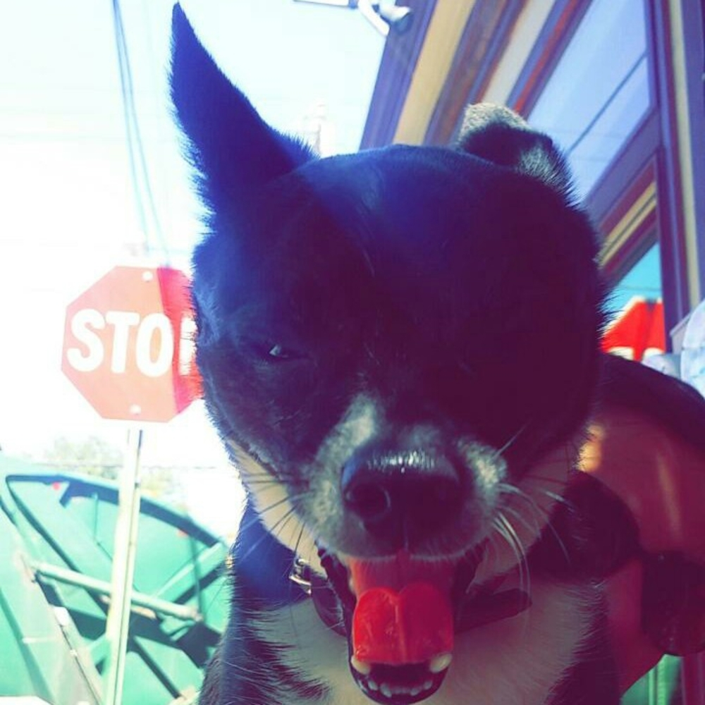 Meet your Posher, Megan